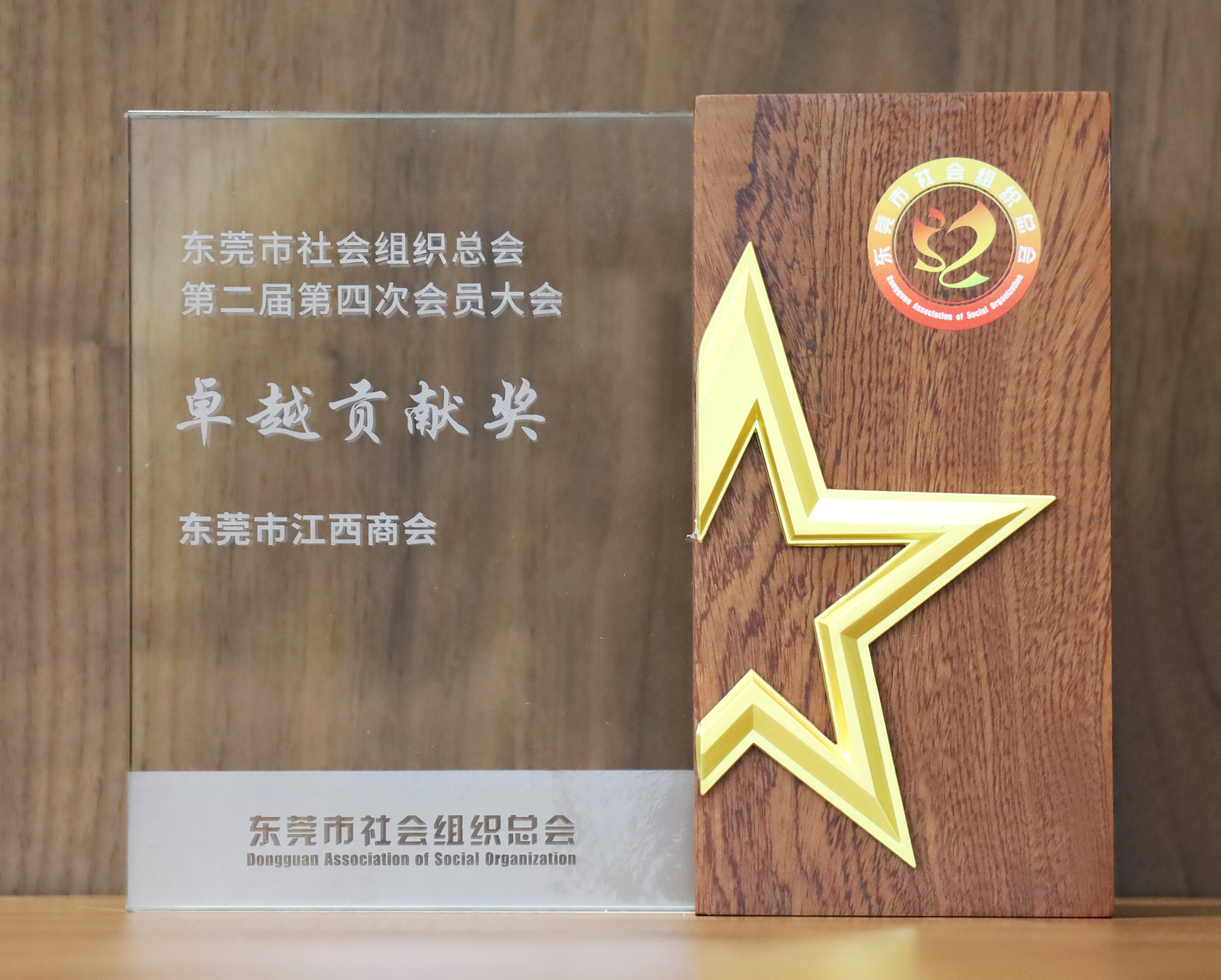 东莞市社会组织总会第二届第四次会员大会卓越贡献奖